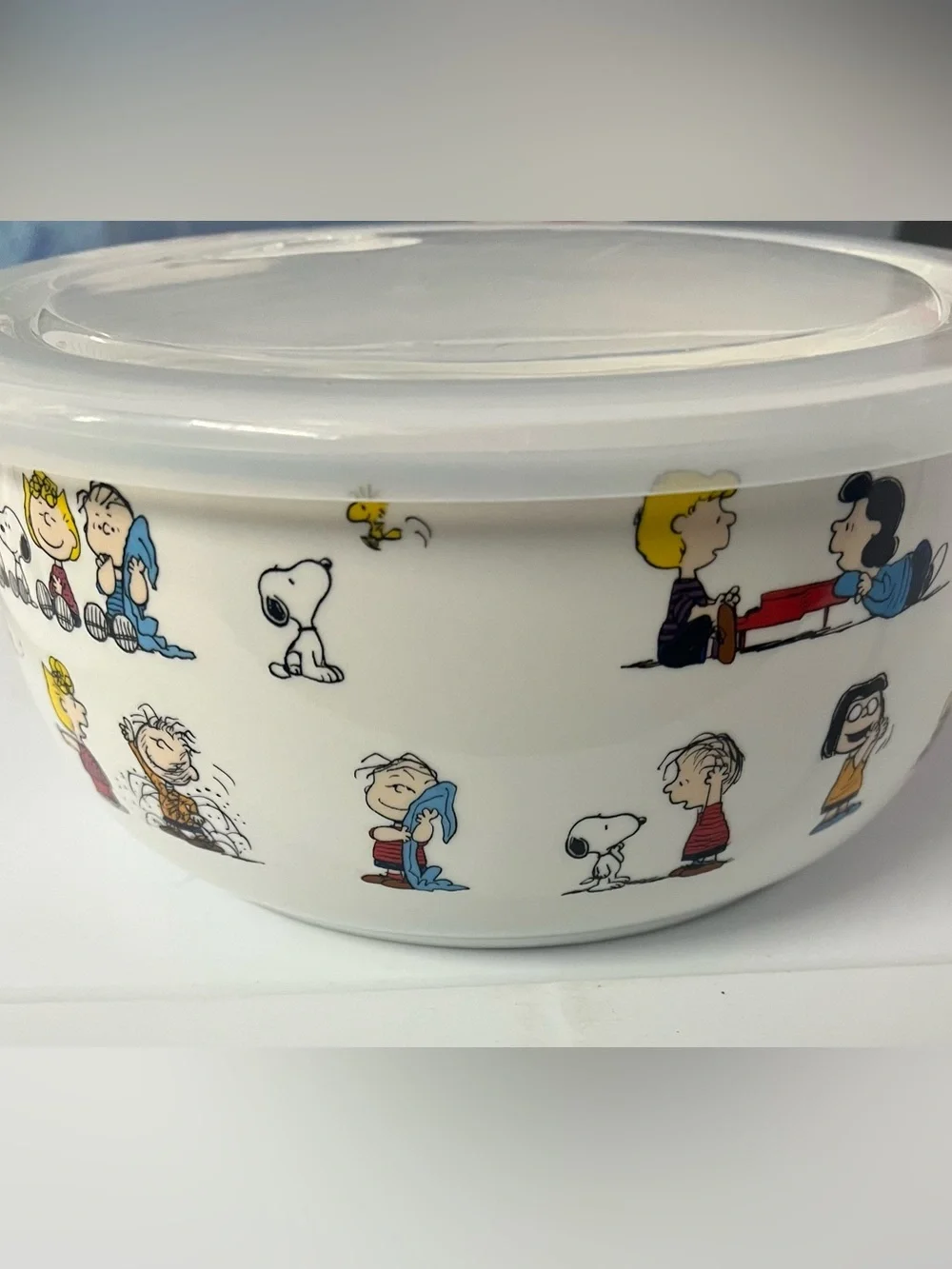 Snoopy & Peanuts Gang Large Nesting Bowl with Pressure Release Lid